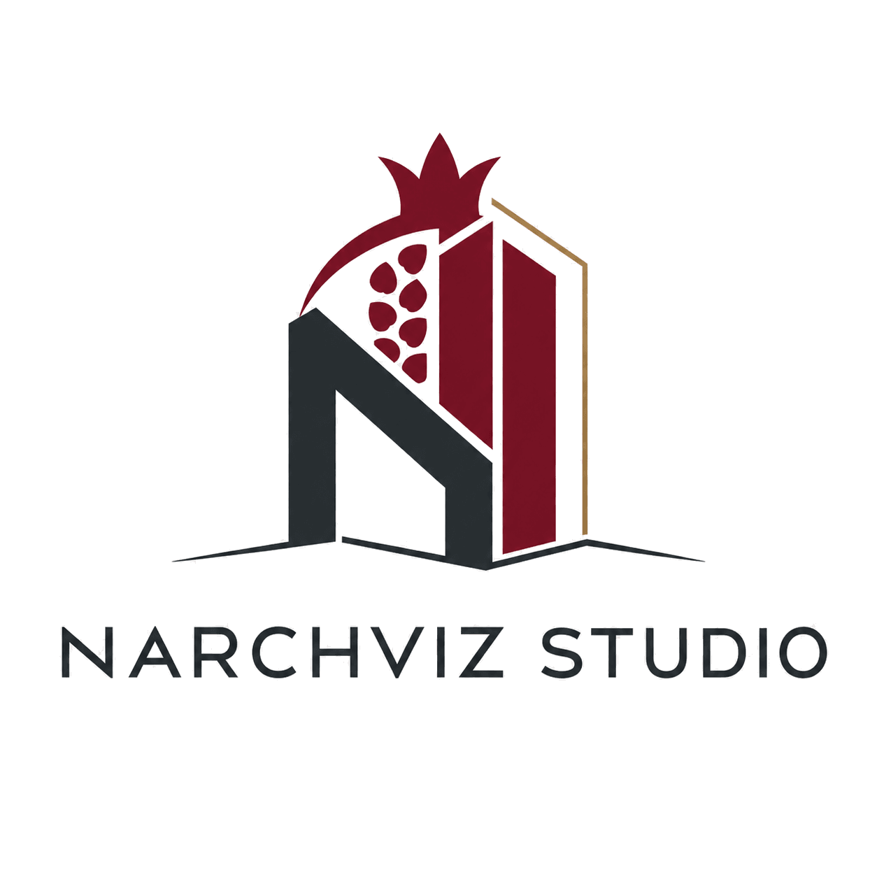 Narchviz Studio